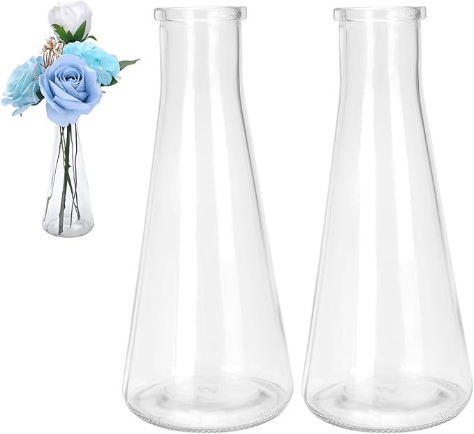 Glass vase Set, Transparent vases, Tabletop Glass vases, Perfect for Wedding Decorations or Home Flower Arrangements Small Flower vase (2PCS)