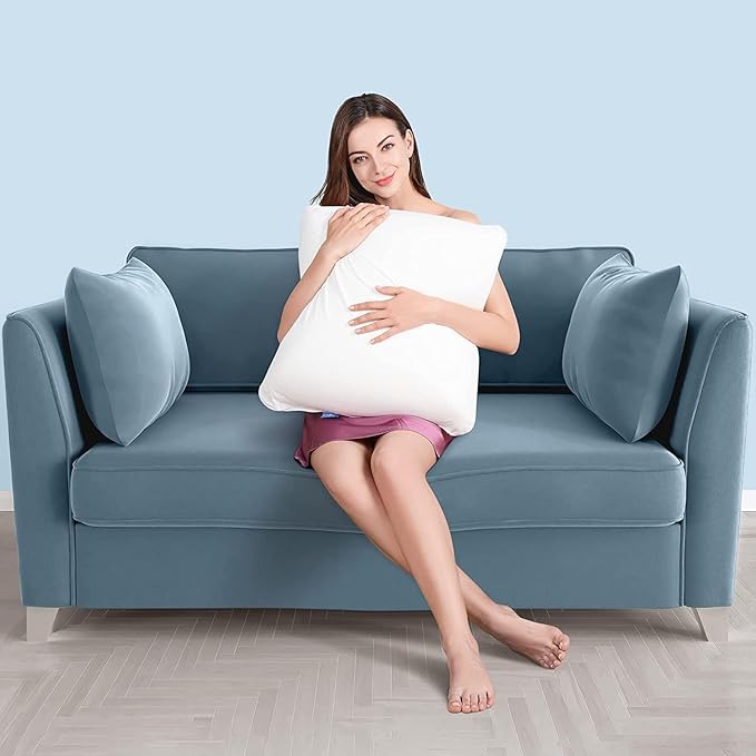 AM AEROMAX 16x16 Pillow Insert (Pack of 2) Memory Foam Throw Pillow Insert Sham Square for Decorative Cushion Bed Couch Sofa Without Deform After Longtime Use