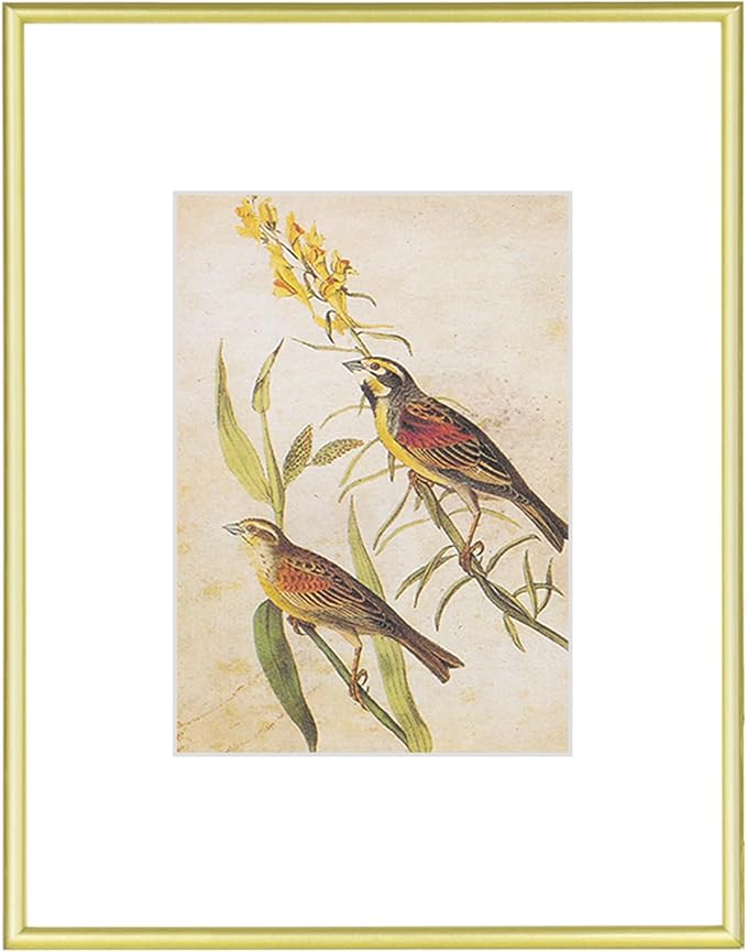 9x12 Picture Frame, Matte Gold Modern Thin Aluminum Metal Photo Frame with HD Glass, Fits 6x8 with Mat or 9 x 12 without Mat, for Tabletop and Wall Mounting, 1 Pack