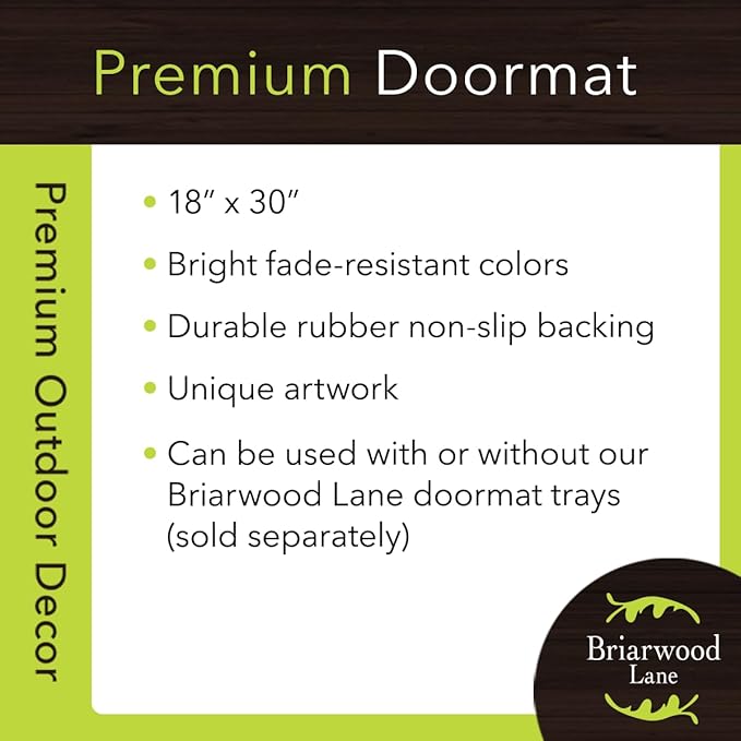 Briarwood Lane Summer Doormat 30x18 Indoor Outdoor Bless This Home Floral for Summer Doormat