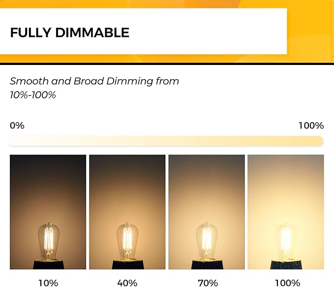 Hizashi Vintage LED Edison Bulb Dimmable, 6W Equivalent 60W, E26 Base Light Bulbs, 2700k Warm White, 700LM, High CRI 95+ Eye Protection, Clear Glass, Pack of 18