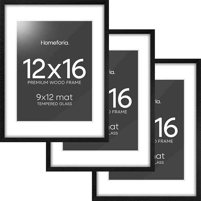 Homeforia 12x16 Black Wood Picture Frame, High End Oak 12x16 Poster Frames with Mat 9x12 Print, 12 x 16 Black Wooden Frame Matted to 9 by 12 Photo, 16x12 Thin Frame, Tempered Glass, Wall Kit, Set of 3
