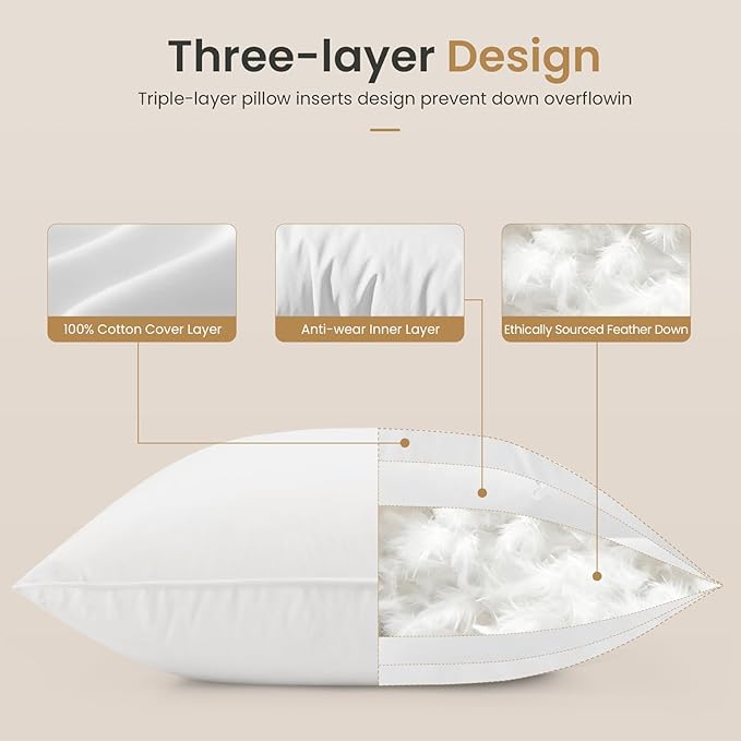 BHZ Euro Throw Pillow Inserts, 24x24 Down Feather Alternative Pillow Inserts Set of 2, Decorative Soft Large Square White Throw Pillows Insert for Couch Bed Dorm Sofa with Cotton Cover