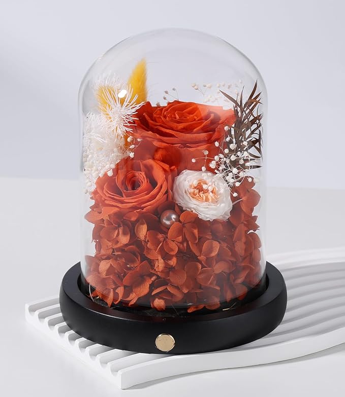 FIACO Preserved Flowers Christmas Rose Gifts for Women, Birthday Gifts Eternal Rose in Glass Dome Long-Lasting Real Forever Flowers Gifts for Mom Grandma Wife Girlfriend