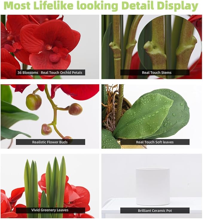 CXGS Artificial Orchid Flower Plants Real Touch Faux Orchids in Ceramic Vase 20.9'' Red Phalaenopsis Orchid Fake Flower Arrangement Home Indoor Decor