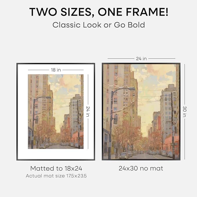 Homeforia 24x30 Poster Frame Black, High End Metal 24 x 30 Picture Frames with Mat 18 by 24 inches Photo, 24x30 Black Frame Matted to 18x24 Print, 30x24 Large Frame, Tempered Glass, Wall Kit, Set of 2