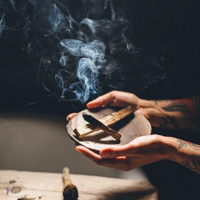 Anima Mundi Apothecary Palo Santo Wood Bundle - Fragrant Incense Sticks - Wildcrafted & Sustainably Sourced Holy Sticks - Burning Wood Incense
