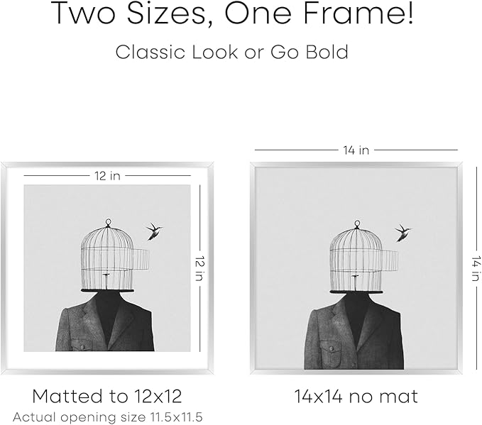 Homeforia Silver 14x14 Picture Frame, High End Metal 14 x 14 Square Frame with Mat 12 x 12 Photo, 14x14 Poster Frames Matted to 12x12 Print, 14 by 14 Hanging Frames, Tempered Glass, Wall Kit, Set of 2