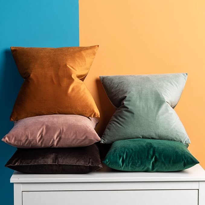 JUSPURBET Decorative Pillow Covers Set of 2 Velvet Throw Pillow Covers for Couch Sofa Bed Soft Lumbar Cushion Covers with Hidden Zipper for Living Room Home Decor,Rust,12x20 inch