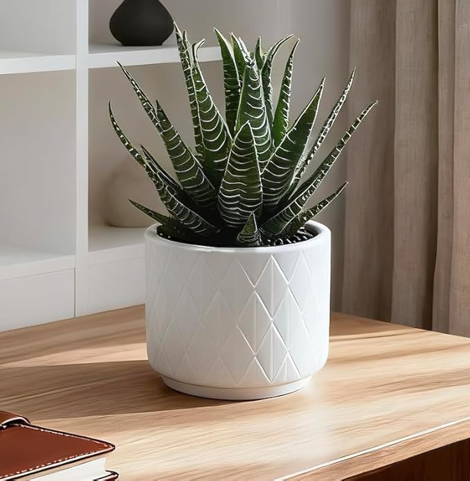 Artificial Succulent Plant in Matte White Ceramic Pot | 6.5" high Dark Green Aloe Plant | Great as desk decor or bathroom decor | beautiful realistic faux succulent with no maintenance