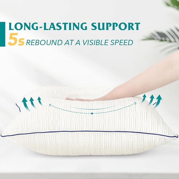 Oubonun 22x22 Pillow Inserts Set of 2 - Square Decorative Throw Pillows for Couch Bed Sofa Living Room Down Alternative Polyester Filling 22 Inch Insert(Beige)