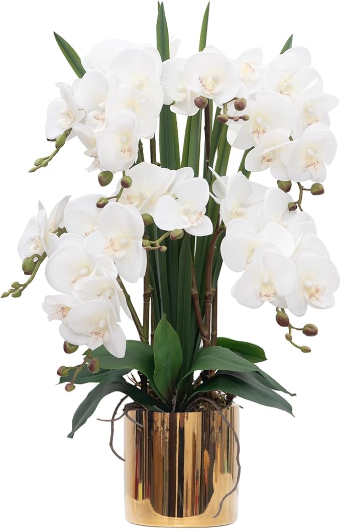 CXGS Artificial Orchid Flower Plants Real Touch Faux Orchids in Ceramic Vase 20.9'' White Phalaenopsis Orchid Fake Flower Arrangement Home Indoor Decor