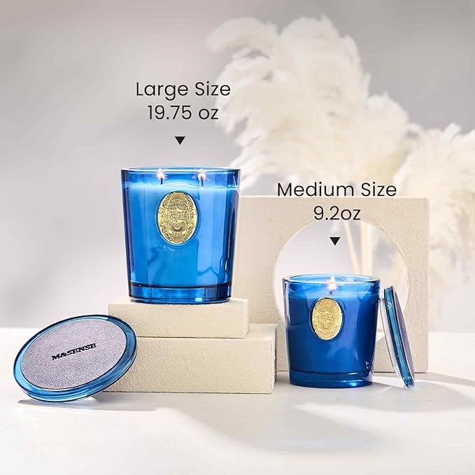 M&SENSE Large Two-Wick Summer Soy Candle | Summer's Night & Blue | 19.8 oz, 120H Burn Time | Luxury Scented Candle for Relaxation, Gifting, Home Décor | Ideal for Bedroom, Office, Party Ambiance
