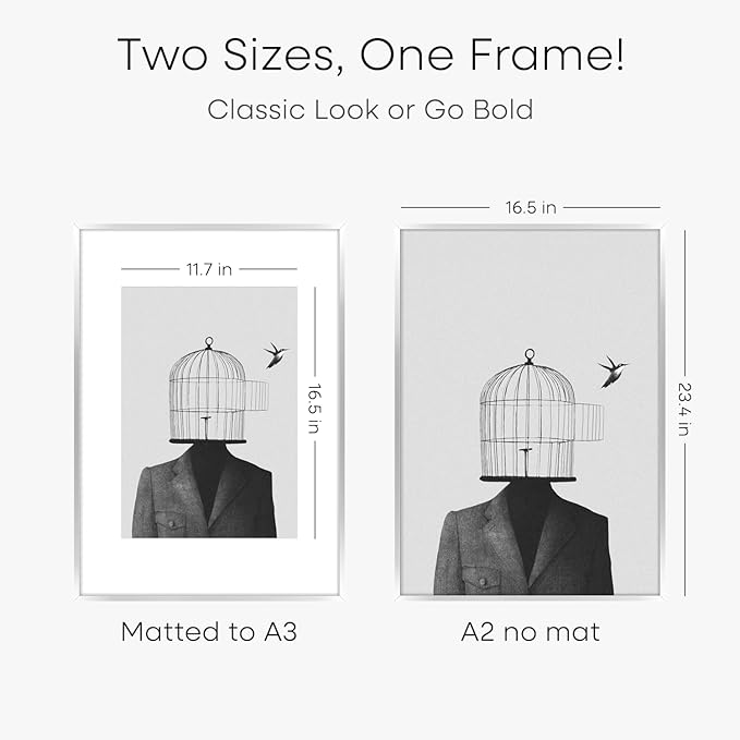 Homeforia A2 Poster Frame Silver, High End Metal A2 Picture Frames Silver with Mat A3 Print, 16.5x23.4 Frames Matted to 11.7x16.5 Photo, 16.5 by 23.5 Hanging Frames, Tempered Glass, Wall Kit, Set of 2