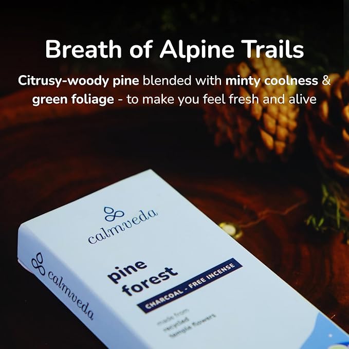 Pinon Pine Incense Sticks - (80+ Pine Scented Sticks for Christmas Tree) Charcoal Free Natural Incense Non Toxic | Aroma of Fresh Needles & Woody Bark, Perfect Christmas Inscents