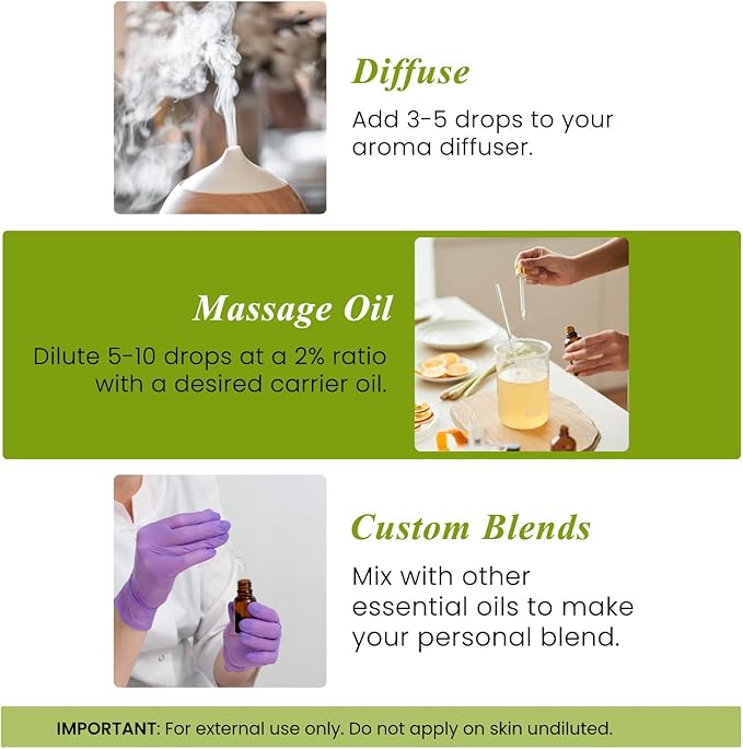 Handcraft Blends Rosemary Essential Oil – 0.33 Fl Oz – 100% Pure and Natural – Premium Grade Essential Oil for Diffuser and Aromatherapy, Skin, Massage, Candle and Soap Making Fragrance
