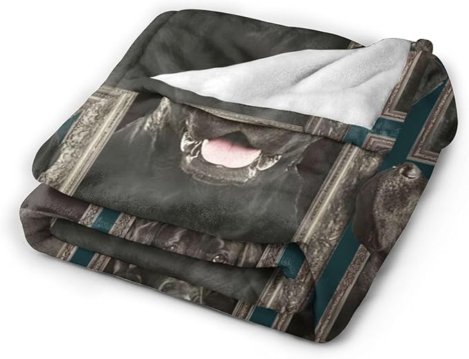 Tijuboni Labrador Retriever Throw Blanket Dog Gifts for Girls Boys Women Men Kids Adults Soft Flannel Fleece Blanket for Couch Sofa Bed Home Decor 60"x80"