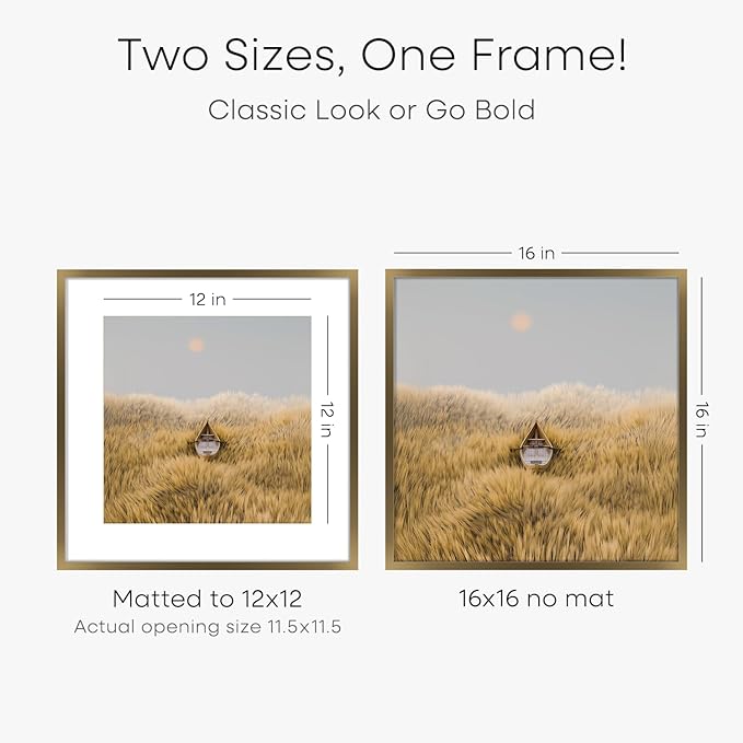 Homeforia 16x16 Picture Bronze Frames, High End Metal 16 x 16 Square Poster Frame with Mat 12 x 12 Photo, 16x16 Brass Frame Matted to 12x12 Print, 16by16 Thin Frames, Tempered Glass, Wall Kit, Set of 3