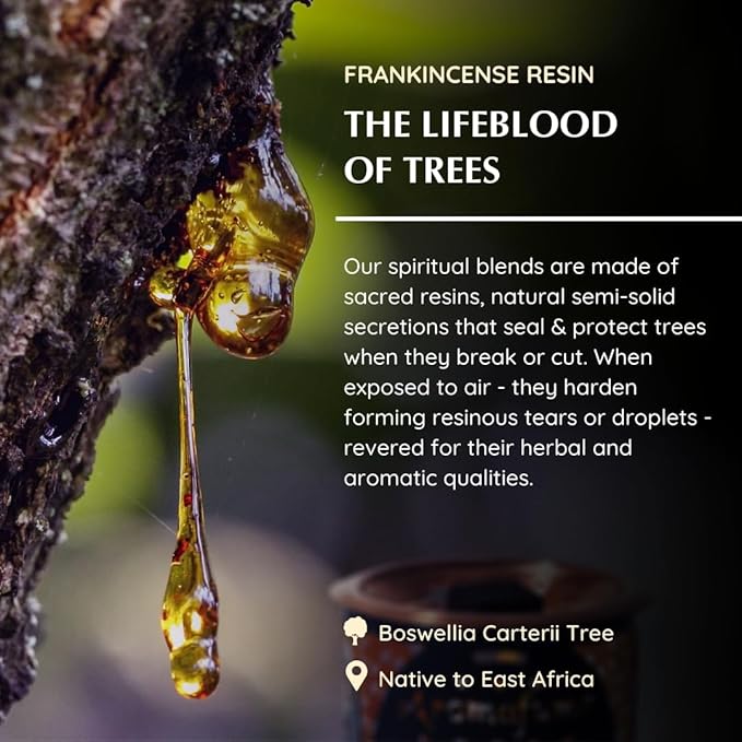 Aromafume Frankincense Incense Bricks (3 Trays x 9 Pieces Each) Ideal for Prayer, Meditation and Usage in Churches and Temples. Made Using Pure Frankincense from Somaliland! Refill Pack