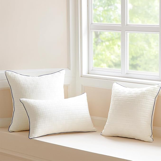 Oubonun 22x22 Pillow Inserts Set of 2 - Square Decorative Throw Pillows for Couch Bed Sofa Living Room Down Alternative Polyester Filling 22 Inch Insert(Beige)