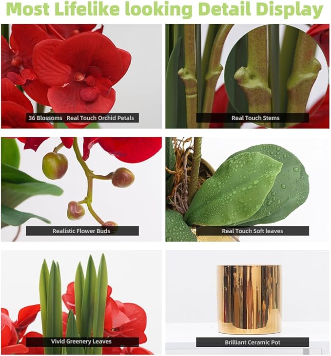 CXGS Artificial Orchid Flower Plants Real Touch Faux Orchids in Ceramic Vase 20.9'' Red Phalaenopsis Orchid Fake Flower Arrangement Home Indoor Decor