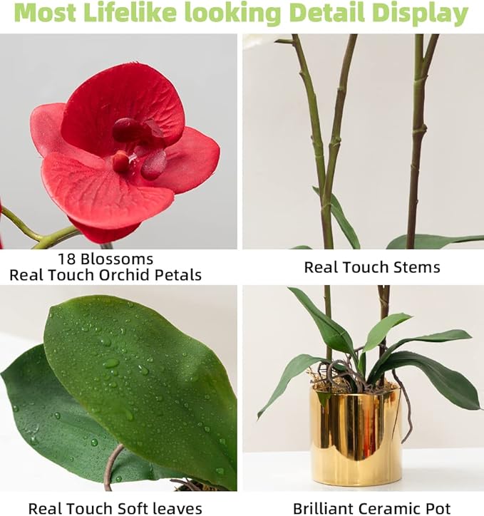 CXGS Artificial Orchid Flower Plant Real Touch Faux Orchids in Ceramic Vase Red 19.7'' Fake Phalaenopsis Flower Arrangement Centerpiece Home Indoor Decor