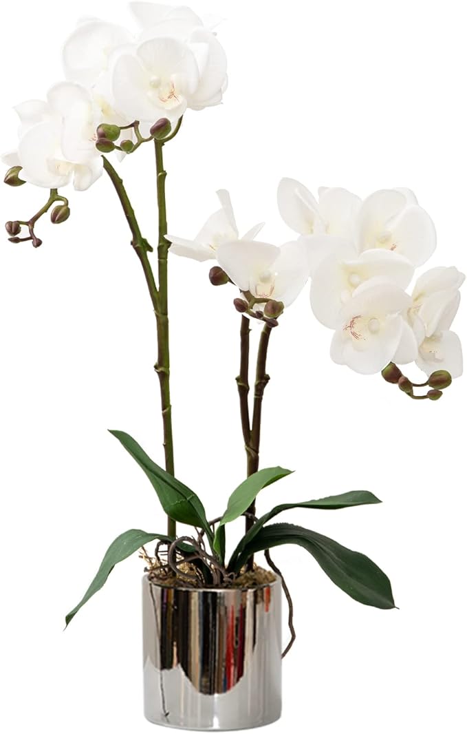 CXGS Artificial Orchid Flower Plant Real Touch Faux Orchids in Ceramic Vase White 19.7'' Fake Phalaenopsis Flower Arrangement Centerpiece Home Indoor Decor