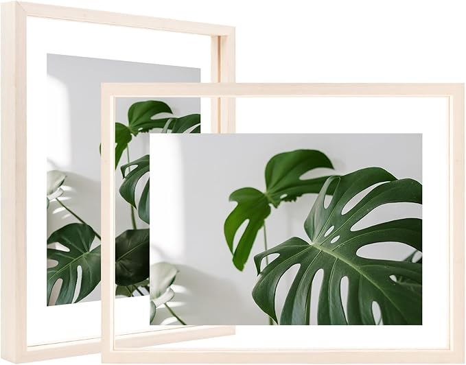 Egofine 8.5x11 Floating Frames Set of 2, Double Plexiglass Picture Frame, Made of Solid Wood Display Any Size Photo up to 8.5x11, Wall Mount or Tabletop Standing, Beige