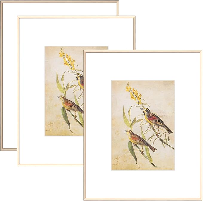 8.5x11 Picture Frame Set of 3, Brass Modern Thin Aluminum Metal Photo Frame with HD Glass, Fits 5x7 with Mat or 8.5 x 11 without Mat, for Tabletop and Wall Mounting