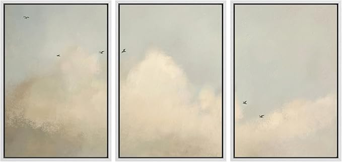 MUDECOR Framed Wall Art Print Set Minimalist Serene Sky with Birds Illustrations Modern Art Boho Decorative Colorful Chic for Living Room, Bedroom, Office - 24"x36"x3 White