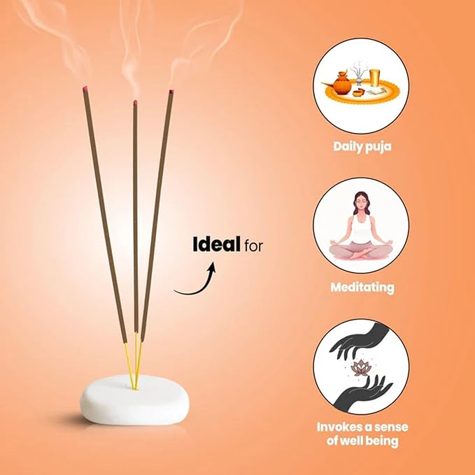 Hashcart Natural Incense Sticks Gift Set of 3 Includes 200+ Sticks Each of Fragrances Brut Musk, Intimate, Oudh Glory Scent, 110g Each Pack with 1 Assorted Incense Stick Holder