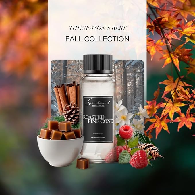 Scentiment Diffuser Oil - Roasted Pine Cone Fall Collection | Aromatherapy Home Fragrance | Luxurious Scent with Notes of Pine, Raspberry, Caramel (120ml)