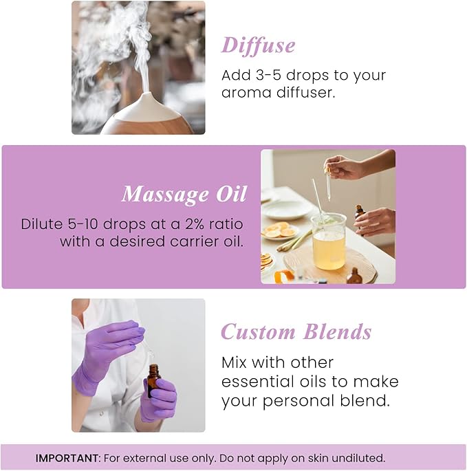 Handcraft Blends Lavender Angustifolia Essential Oil Gift Set – Huge 4 Fl Oz – 100% Pure & Natural – Premium Grade Essential Oil for Diffuser and Aromatherapy – Beautiful Gift Box Included