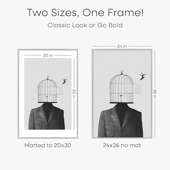 Homeforia Poster Silver Frame 24x36, High End Metal 24 x 36 Large Picture Frame with Mat 20 x 30 Photo, 24x36 Silver Frames Matted to 20x30 Print, 36x24 Thin Frames, Tempered Glass, Wall Kit, Set of 2