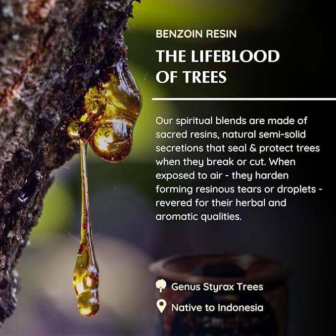 Aromafume Benzoin Incense Bricks Refill Pack 3 Trays x 9 Bricks | Styrax Extract, Native to Indonesia | Ideal for Prayer, Blessings, Prosperity & Meditation | Low-Smoke & Non-Toxic