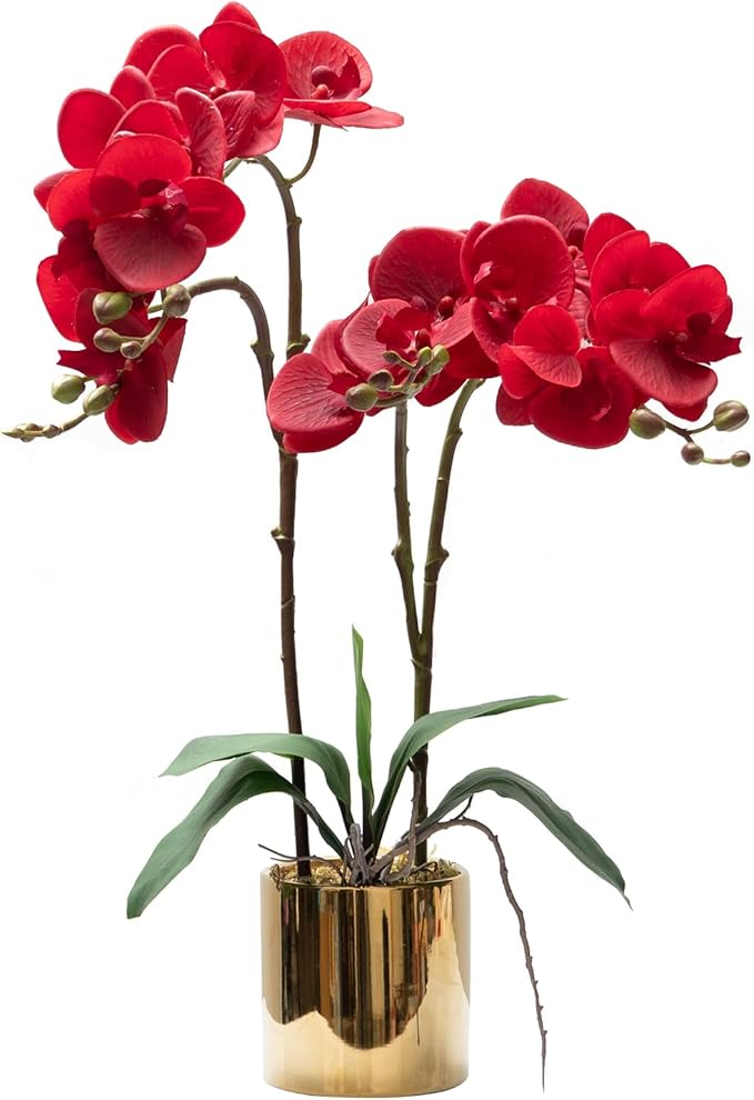 CXGS Artificial Orchid Flower Plant Real Touch Faux Orchids in Ceramic Vase Red 19.7'' Fake Phalaenopsis Flower Arrangement Centerpiece Home Indoor Decor