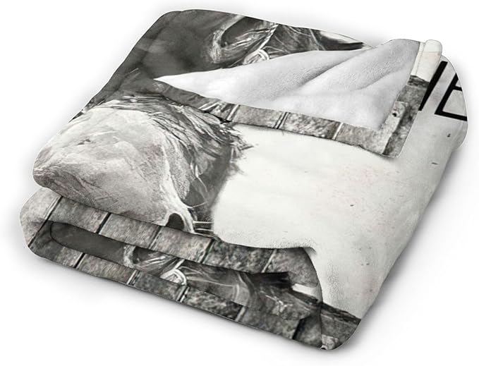 Tijuboni Funny Donkey Throw Blanket Donkey Gifts for Girls Boys Women Men Kids Adults Soft Flannel Fleece Blanket for Couch Sofa Bed Home Decor 60"x80"