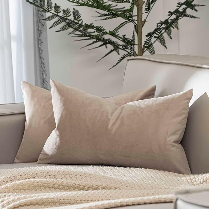 JUSPURBET Couch Pillow Covers Set of 2 Decorative Velvet Throw Pillow Covers Cases for Modern Farmhouse Home Decor Soft Lumbar Cushion Covers with Hidden Zipper for Sofa Bed,Cloud,12x20 inch