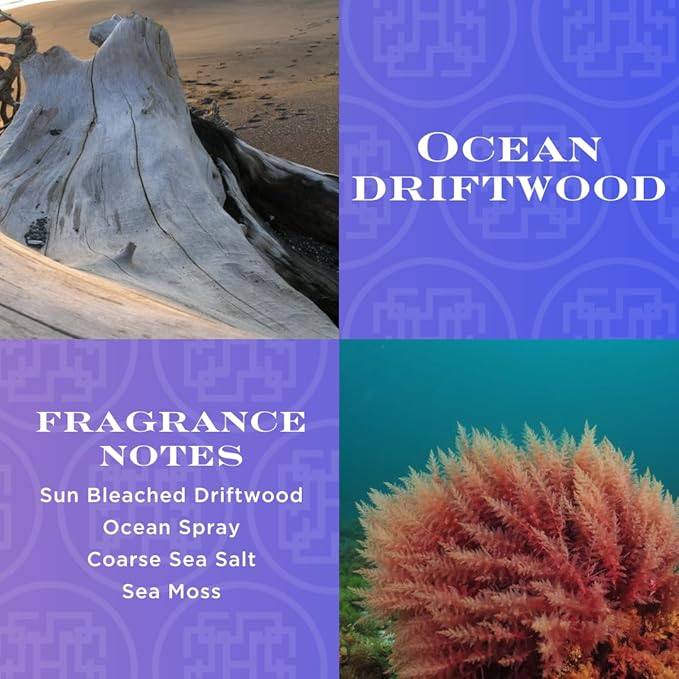 HomeWorx by SLATKIN + CO. Ocean Driftwood Reed Stick Diffuser
