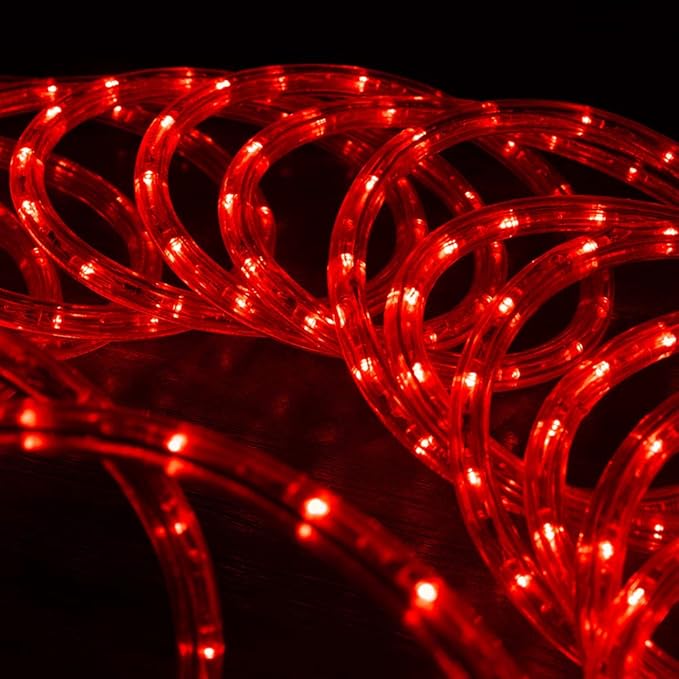 WYZworks 1116LEDs, 100ft LED Outside Rope Lights, Waterproof Permanent Outdoor ETL Certified Connectable Clear Tube, Christmas Palm Tree Holiday Decorative Landscape Patio Accent Lighting - Red