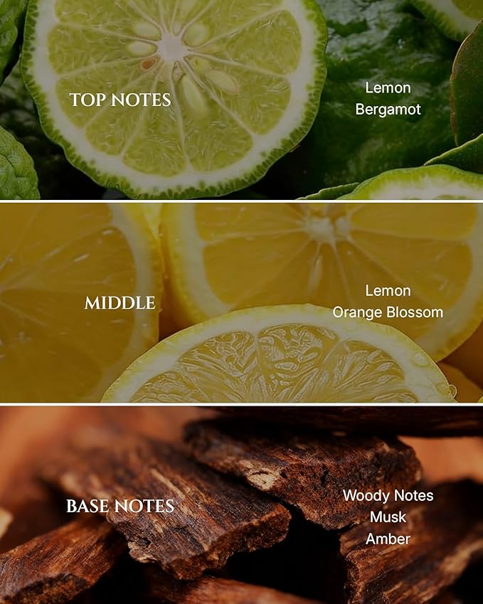 Aromadd Citrus Hotel Scents Diffuser Oil The Hotel, Luxury Essential Oils for Waterless Diffuser, Aromatherapy Hotel Diffuser Oil for Home & Office, Long-Lasting - 3.38 fl oz (100 mL)