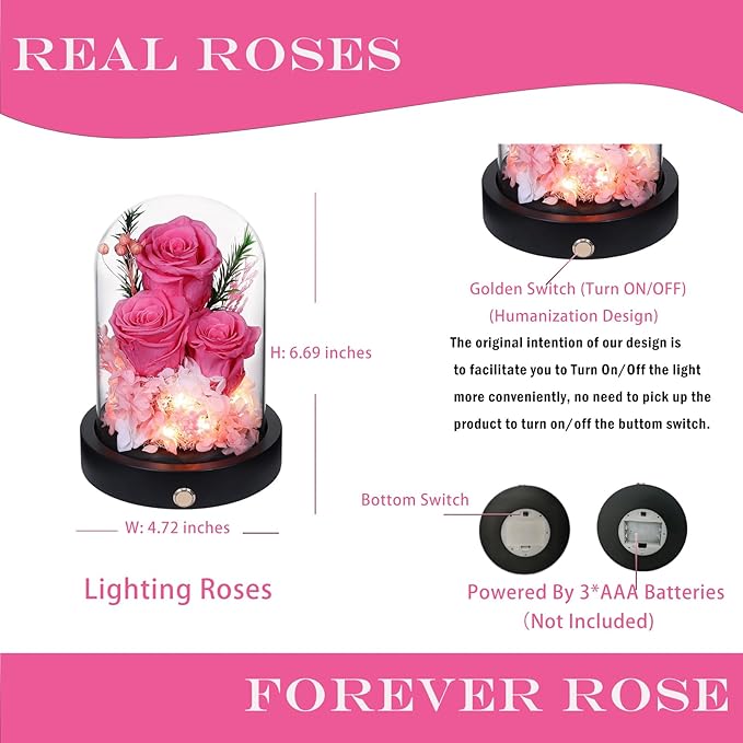 Forever Flowers Gifts for Women,Preserved Roses in Glass Dome, Eternal Flowers for Delivery Prime, Real Pink Roses Anniversary Valentines Day Christmas Birthday Gifts for Mom Grandma Wife