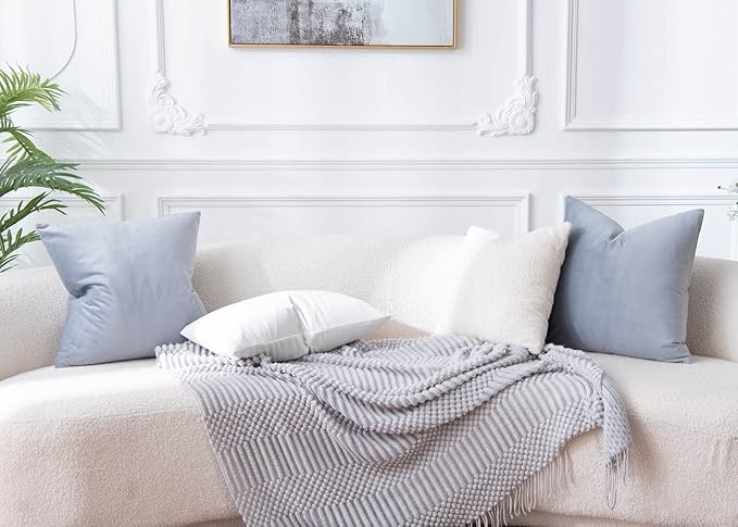 JUSPURBET Velvet Pillow Covers 20x20 inch Set of 2 Decorative Throw Pillow Covers for Couch Sofa Bed Soft Cushion Covers Cases with Hidden Zipper for Living Room Home Decor,Silver Gray