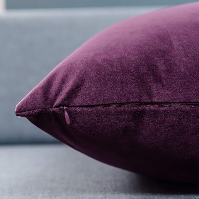JUSPURBET Velvet Pillow Covers Set of 2 Decorative Throw Pillow Covers for Couch Sofa Bed Soft Cushion Covers Cases with Hidden Zipper for Living Room Home Decor 18x18 inch,Eggplant Purple