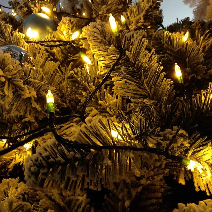 Christmas Lights with Timer Battery Operated String Lights 100 LED 8 Modes String Lights Clear Mini Light Set for Wedding Party Home Garden Wreath, Waterproof, Warm White
