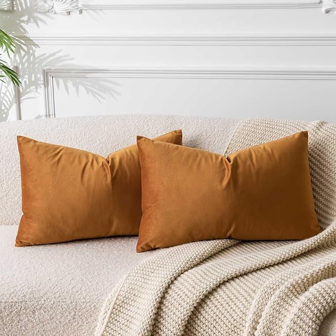 JUSPURBET Couch Pillow Covers Set of 2 Decorative Velvet Throw Pillow Covers Cases for Living Room Bedroom Home Decor Soft Lumbar Cushion Covers with Hidden Zipper for Sofa Bed,Rust,14x24 inch
