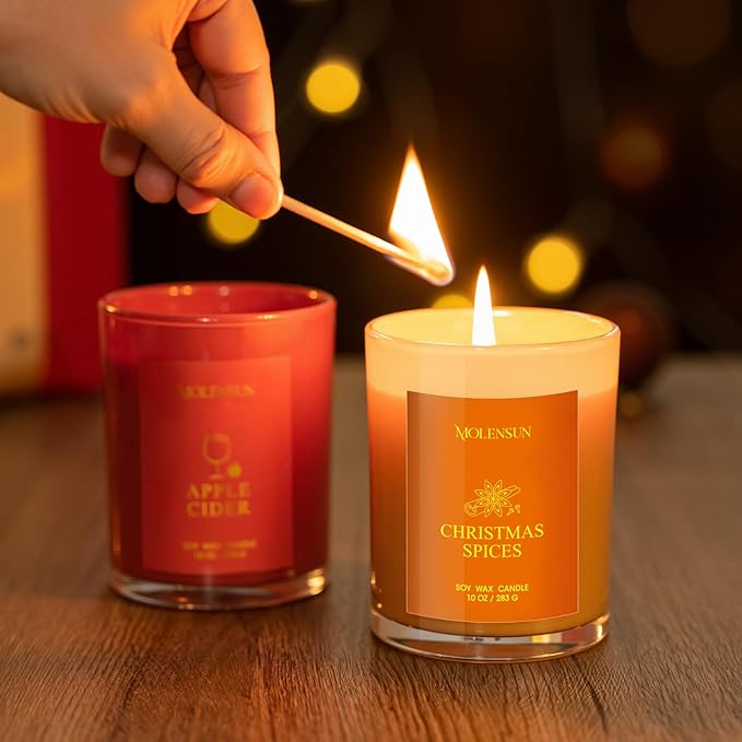 Christmas Spices Candle, 10oz Soy Scented Candle for Home, Christmas Birthday & Holiday Gifts for Women & Men, Long Lasting 50+ Hour Clean Non-Toxic Burn, Elegant Winter & Christmas Home Decor