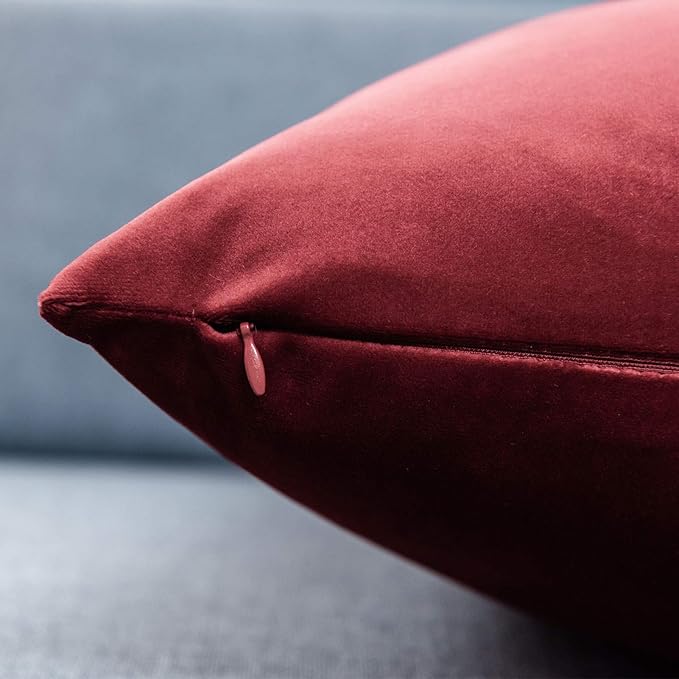 JUSPURBET Throw Pillow Covers Set of 2 Decorative Velvet Pillow Covers for Couch Sofa Bed Soft Euro Cushion Covers Cases with Invisible Zipper for Living Room Home Decor 28x28 inch,Burgundy