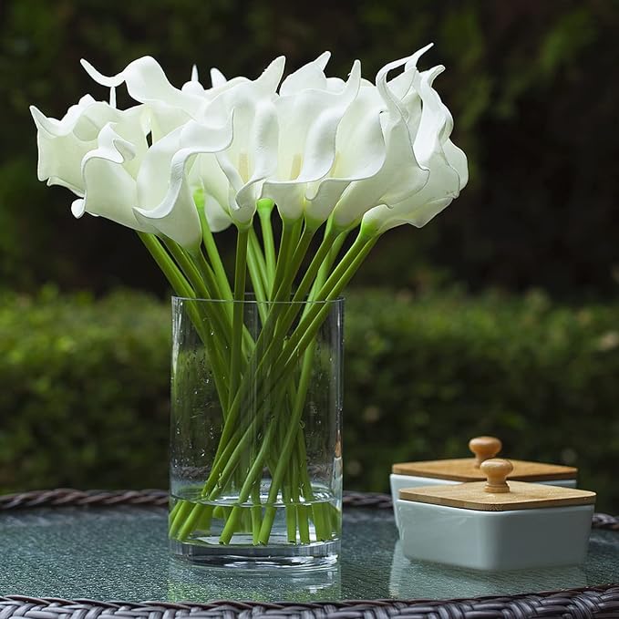 Enova Floral Clear Glass Cylinder Vase 6 x 10 Inches Round Flower Vase, Pillar Candle Floating Candle Holder Vase, Tall Glass Vase for Flowers, Glass Vase for Decor, Wedding Centerpieces (1 Piece)