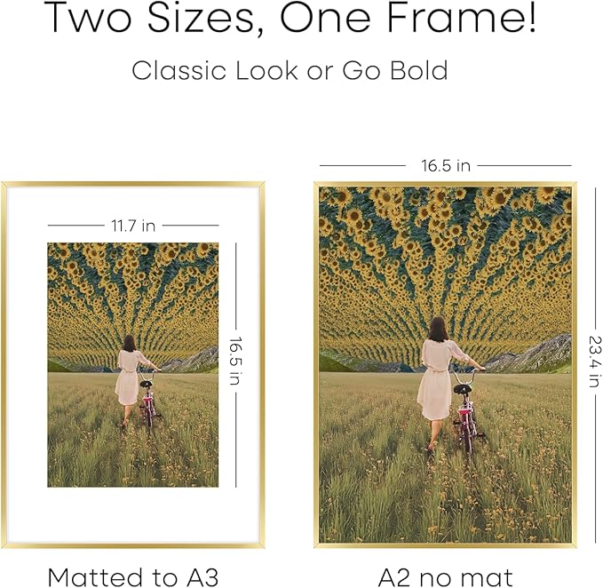 Homeoforia A2 Picture Frame Gold, High End Metal 16.5 x 23.5 inches Poster Frames with Mat 11.7 x 16.5 for Photo, A2 Size Frame Matted to A3 Print, 16.5 by 23.4 Hanging Frame, Tempered Glass, Set of 2